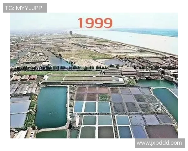 杭州与广州的城市魅力对比探讨文化经济与生活方式的不同之处